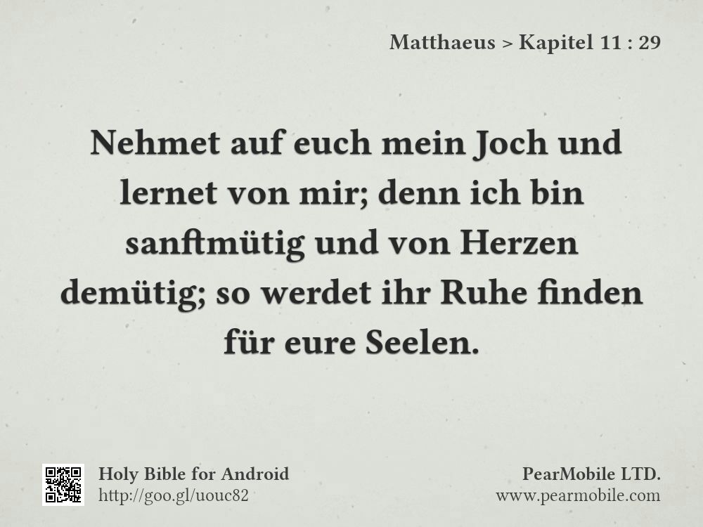 Matthaeus, Kapitel 11:29
